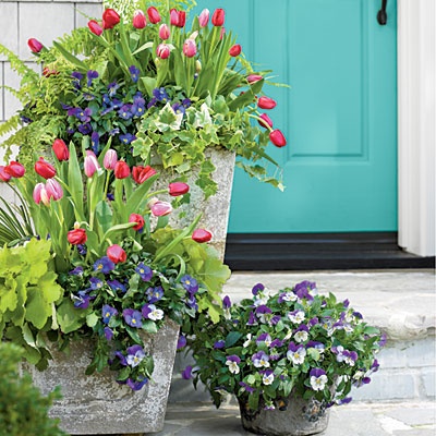 colorful flower pots