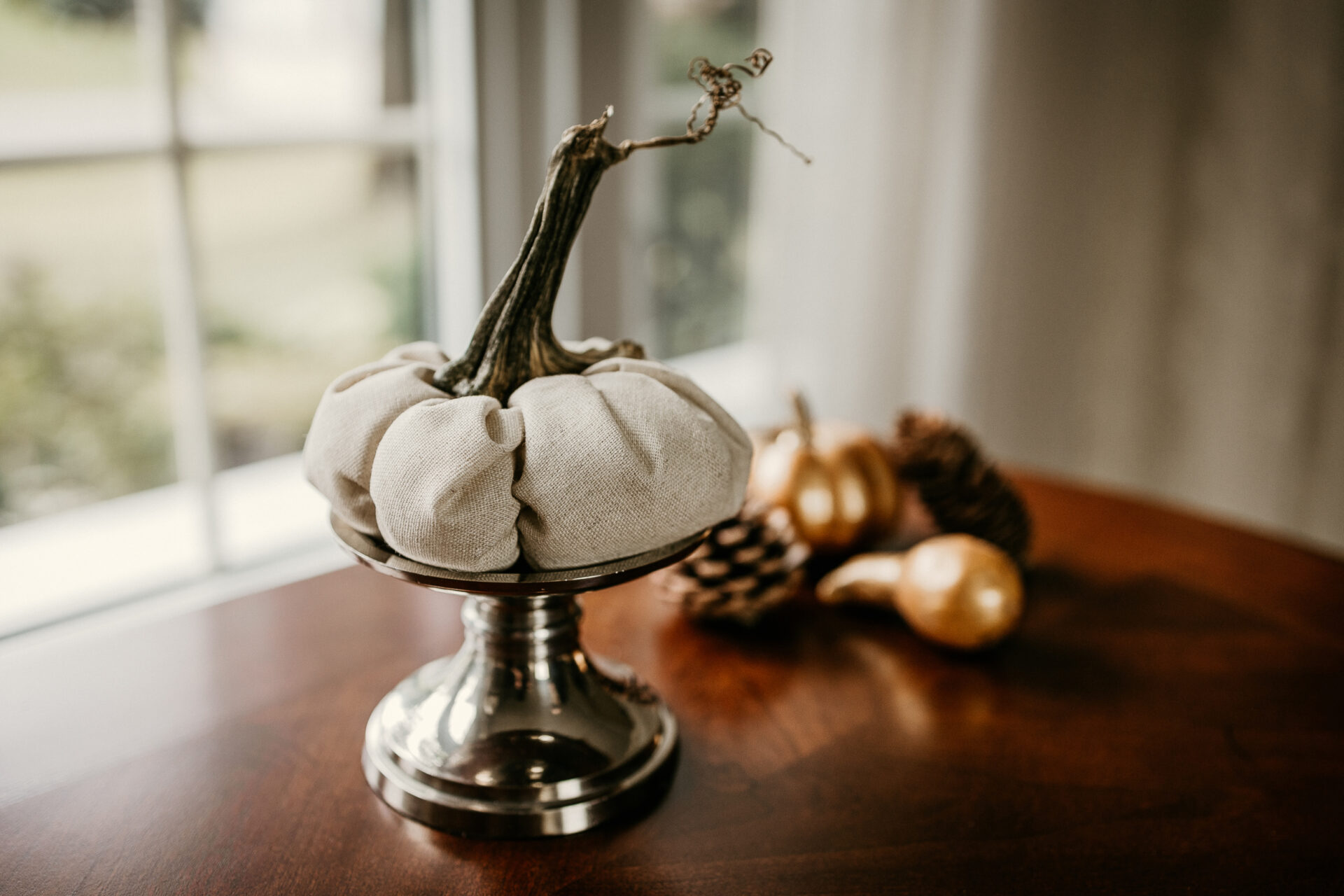A linen pumpkin with a real stem is propped on a silver stand and photographed in front of a window.