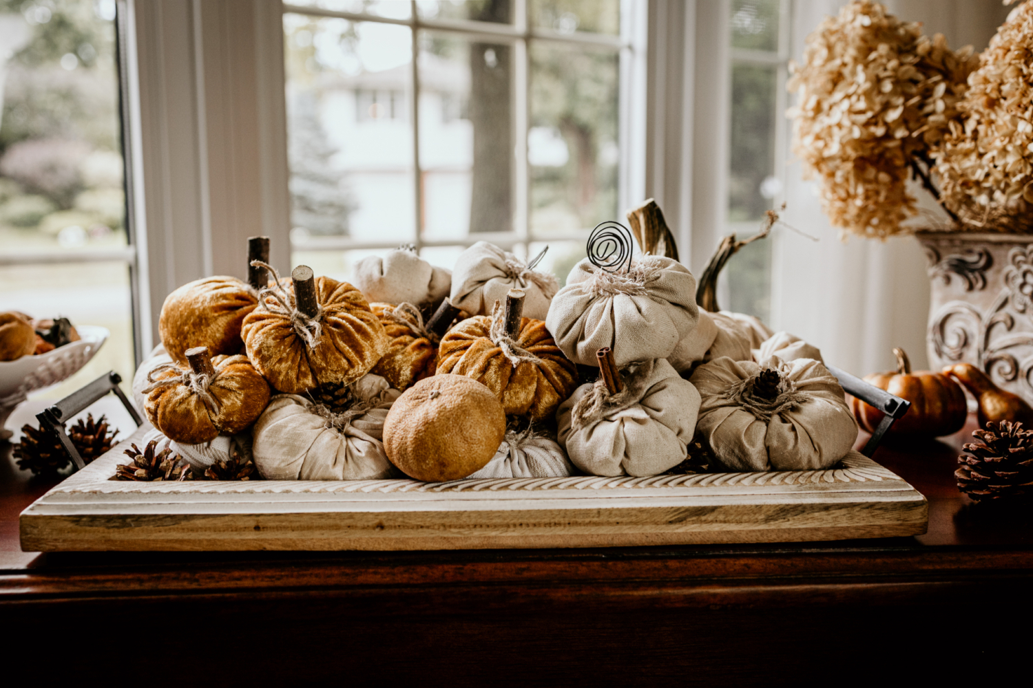 A natural wood tray is placed in front of a window and is filled with the pumpkins sold in the shop.