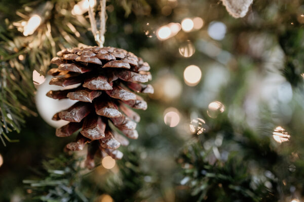 Large pinecone ornament hanging on a Christmas tree