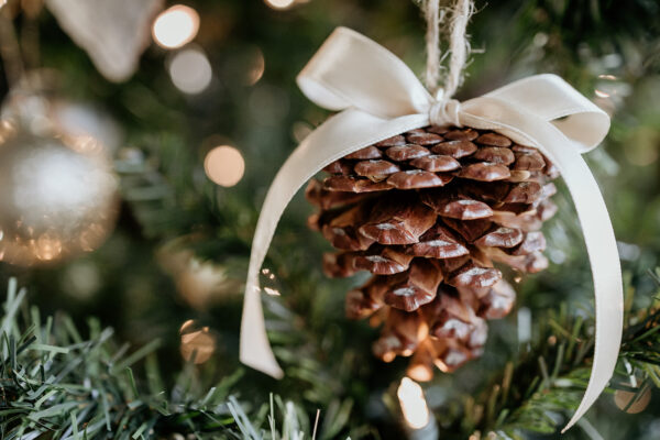 Large pinecone ornament with a gold bow hanging on a Christmas tree